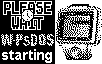Ruputer Start Up Screen